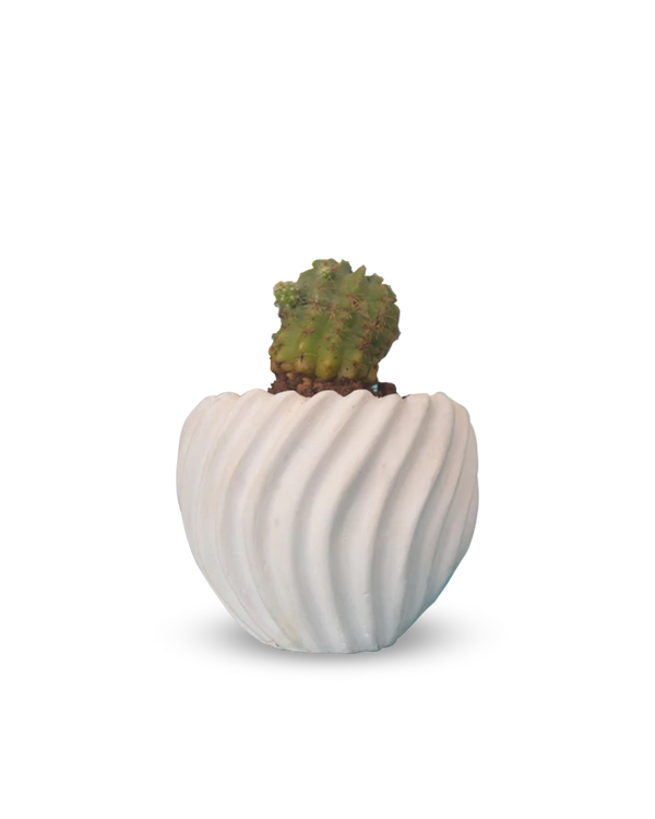 Suzhal Table Top Designer Pot